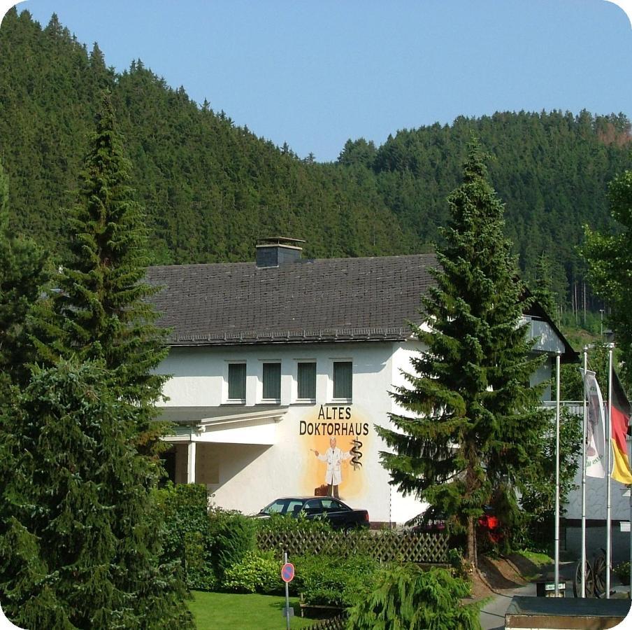Altes Doktorhaus - Hotel Garni Willingen  Exteriör bild