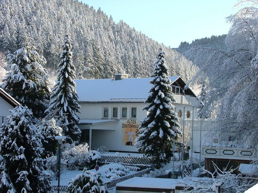 Altes Doktorhaus - Hotel Garni Willingen  Exteriör bild